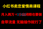     小红书畅销恋爱情商课程，每月超过两万收入，即使是小白也能轻松上手，自带流量，简单易操作
