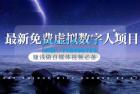     最新免费虚拟数字人项目，赚钱做自媒体视频必备

