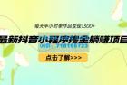     最新抖音小程序撸金躺赚项目：一部手机每天半小时，单个作品轻松变现
