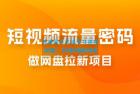     纯绿玩法，靠短视频流量密码做网盘拉新，一个作品轻松变现 500+
