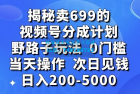     零门槛野路子玩法揭秘：卖699的短视频号分成计划，当天操作，次日即可赚取200-5000元

