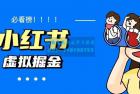    日入500+小红书蓝海虚拟资料项目 价值1580元
