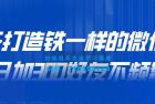     7天打造铁一样的微信号 日加300好友不频繁
