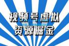    视频号虚拟资源掘金项目：0成本变现，一单 69 元，单月收益 1.1w 外面收费 2980
