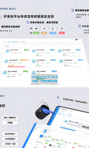 派小星DNS二级域名分发V2.0重构版