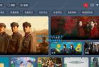     最新tvbox绿豆盒子UI8影视APP源码新增后台添加直播及加密功能 TV端影视APP反编译源码支持会员系统 代理系统 直播 自带免签收款 批量生成卡密

