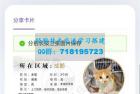     流浪猫流浪狗宠物领养平台H5源码 Thinkphp5内核
