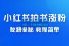     小红书拍书涨粉秘籍揭秘，教程简单，快速涨粉轻松变现
