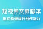     爆款短视频文案脚本课，助你快速提升创作能力，获取顶级的流量密码！
