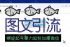    图文引流创业粉螺旋起号技术暴力起粉加爆微信
