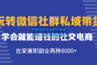     玩转微信社群私域带货，学会就能赚钱的社交电商，在家兼职副业再挣8000+
