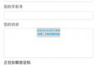     最新彩虹易支付推广代理-查单投诉功能
